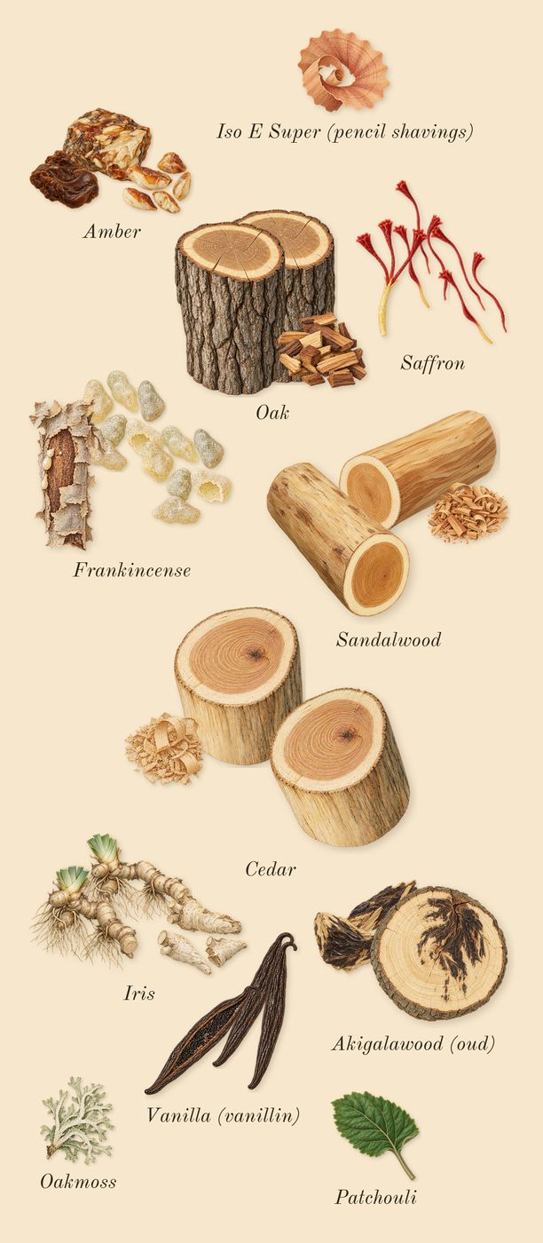Bois Pacifique, dry-down: Sandalwood, Oak, Akigalawood (oud), Frankincense, Iris, Cedar, Saffron, Amber, Vanilla (vanillin), Oakmoss, Patchouli, Iso E Super (pencil shavings)