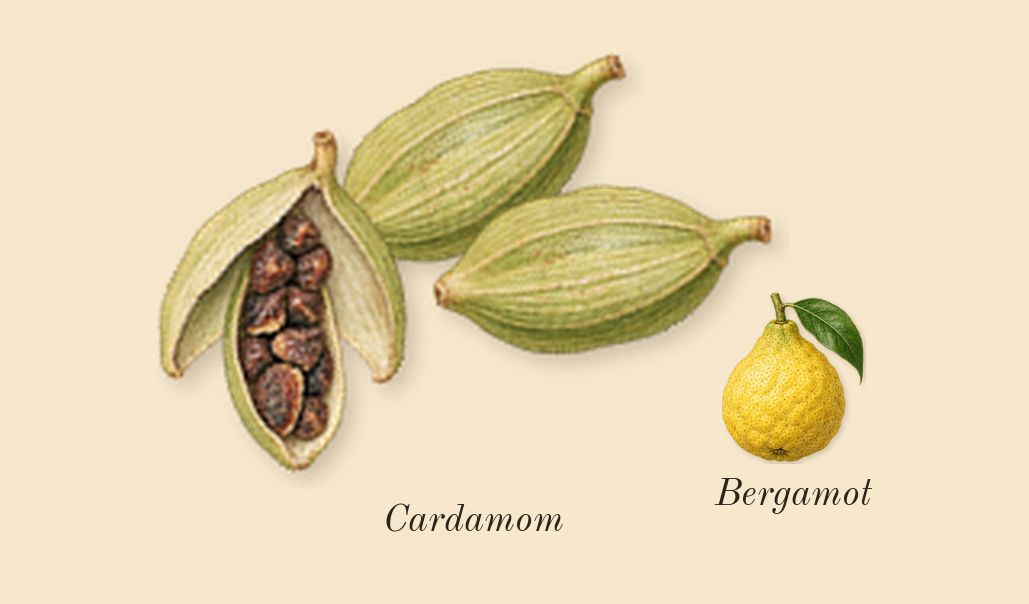 Bois Pacifique, top notes: Cardamom, Bergamot