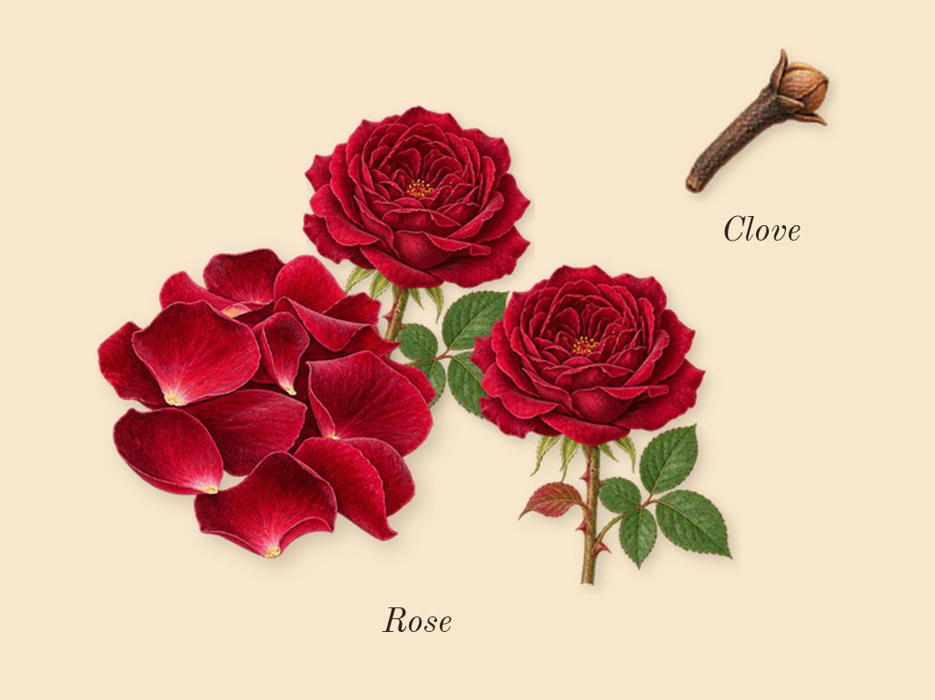 Café Rose, heart: Rose, Clove