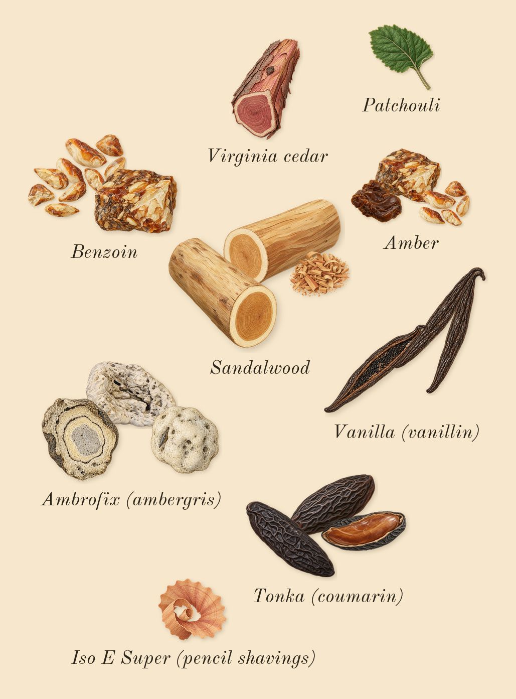 Eau d'Ombré Leather, dry-down: Ambrofix (ambergris), Vanilla (vanillin), Benzoin, Tonka (coumarin), Sandalwood, Amber, Virginia cedar, Patchouli, Iso E Super (pencil shavings)