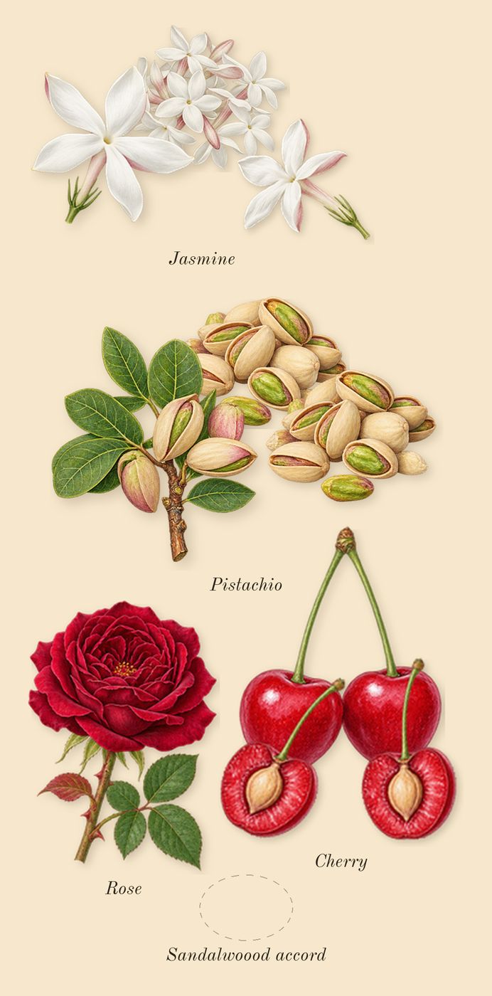 Electric Cherry, heart: Cherry, Pistachio, Jasmine, Sandalwoood accord, Rose