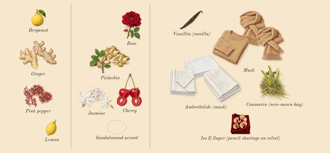 Electric Cherry’s scent picture, a draft: cherry, pistachio, ginger, jasmine, ambrettolide (musk), musk drawn so far; dashed outlines where nothing is drawn yet