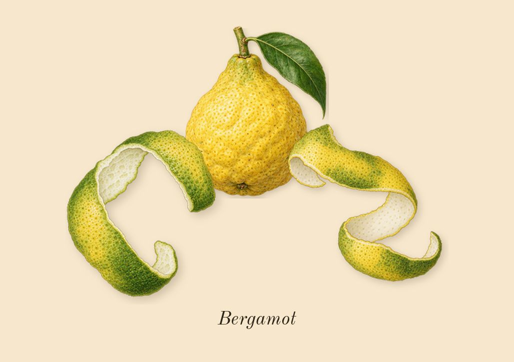 Figue Érotique, top notes: Bergamot
