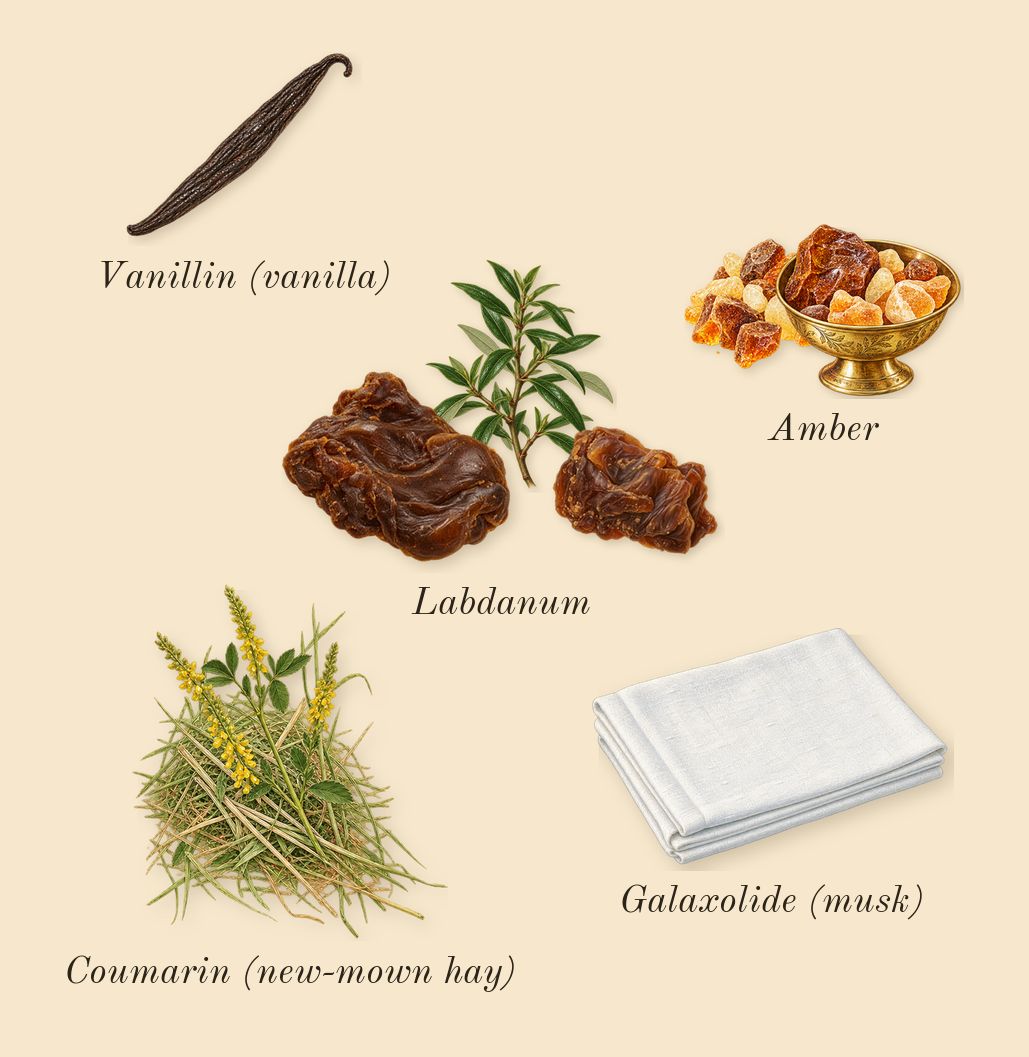 Jasmin Rouge, dry-down: Labdanum, Amber, Coumarin (new-mown hay), Galaxolide (musk), Vanillin (vanilla)