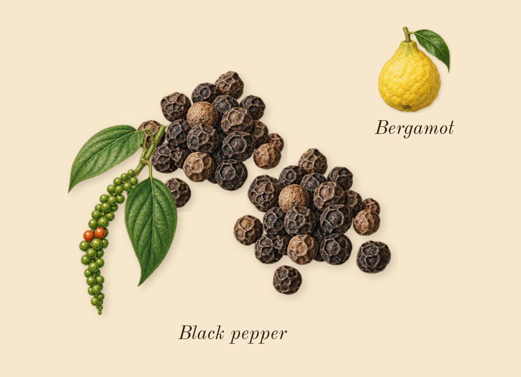 Jasmin Rouge, top notes: Black pepper, Bergamot