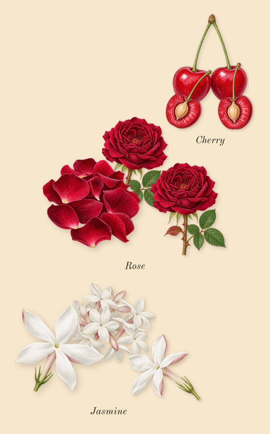 Lost Cherry, heart: Cherry, Rose, Jasmine