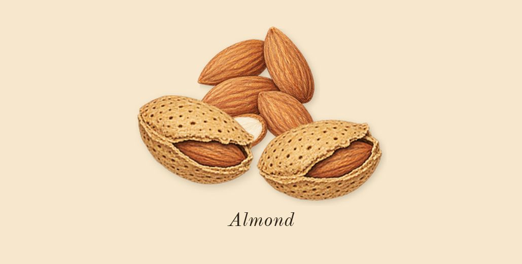 Lost Cherry, top notes: Almond