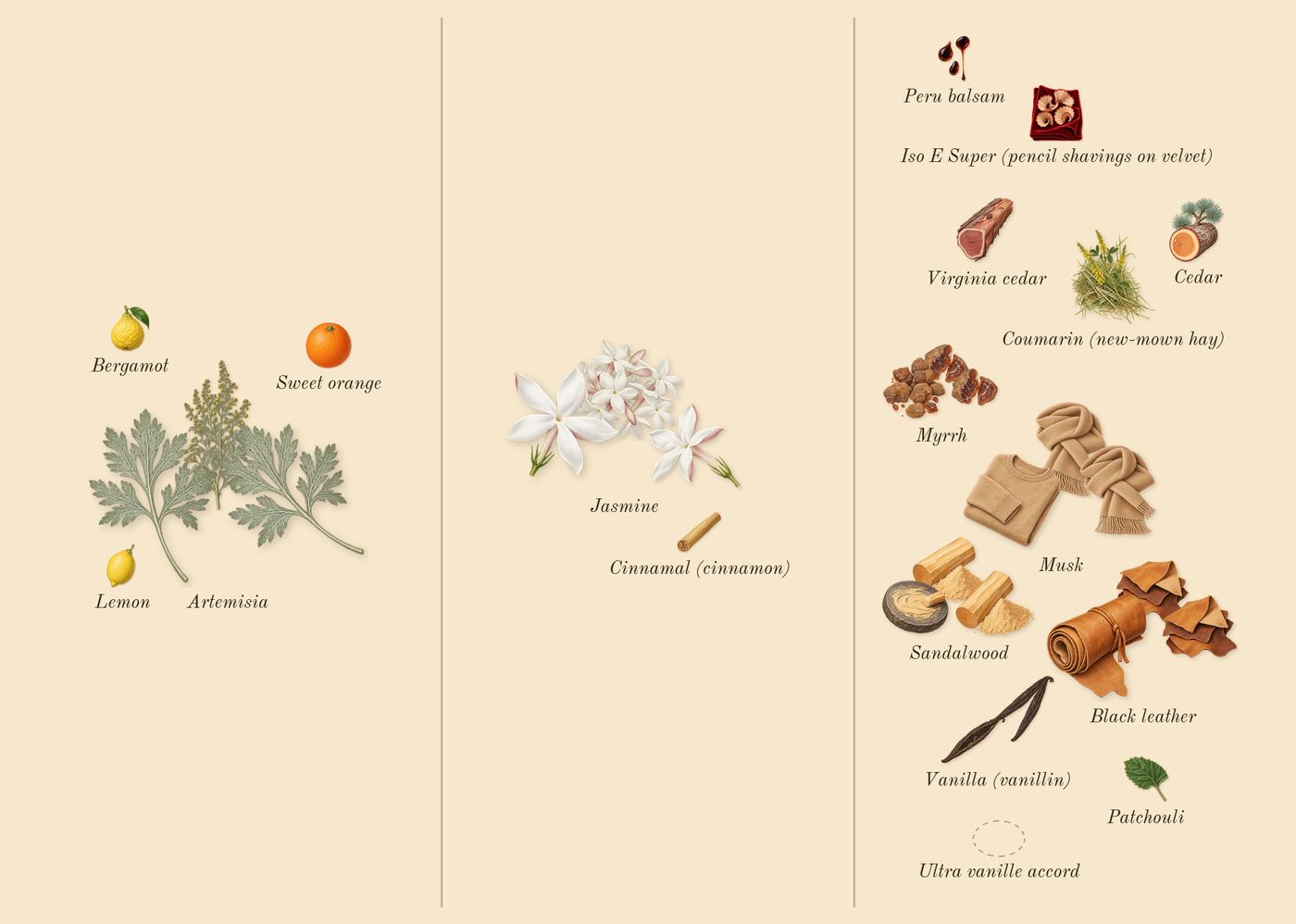 Myrrhe Mystère’s scent picture, a draft: myrrh, artemisia, sandalwood, jasmine, black leather, vanilla (vanillin) drawn so far; dashed outlines where nothing is drawn yet