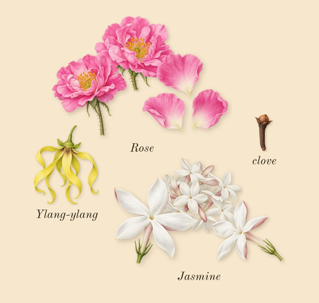 Noir Extreme, heart: Rose, Jasmine, clove, Ylang-ylang