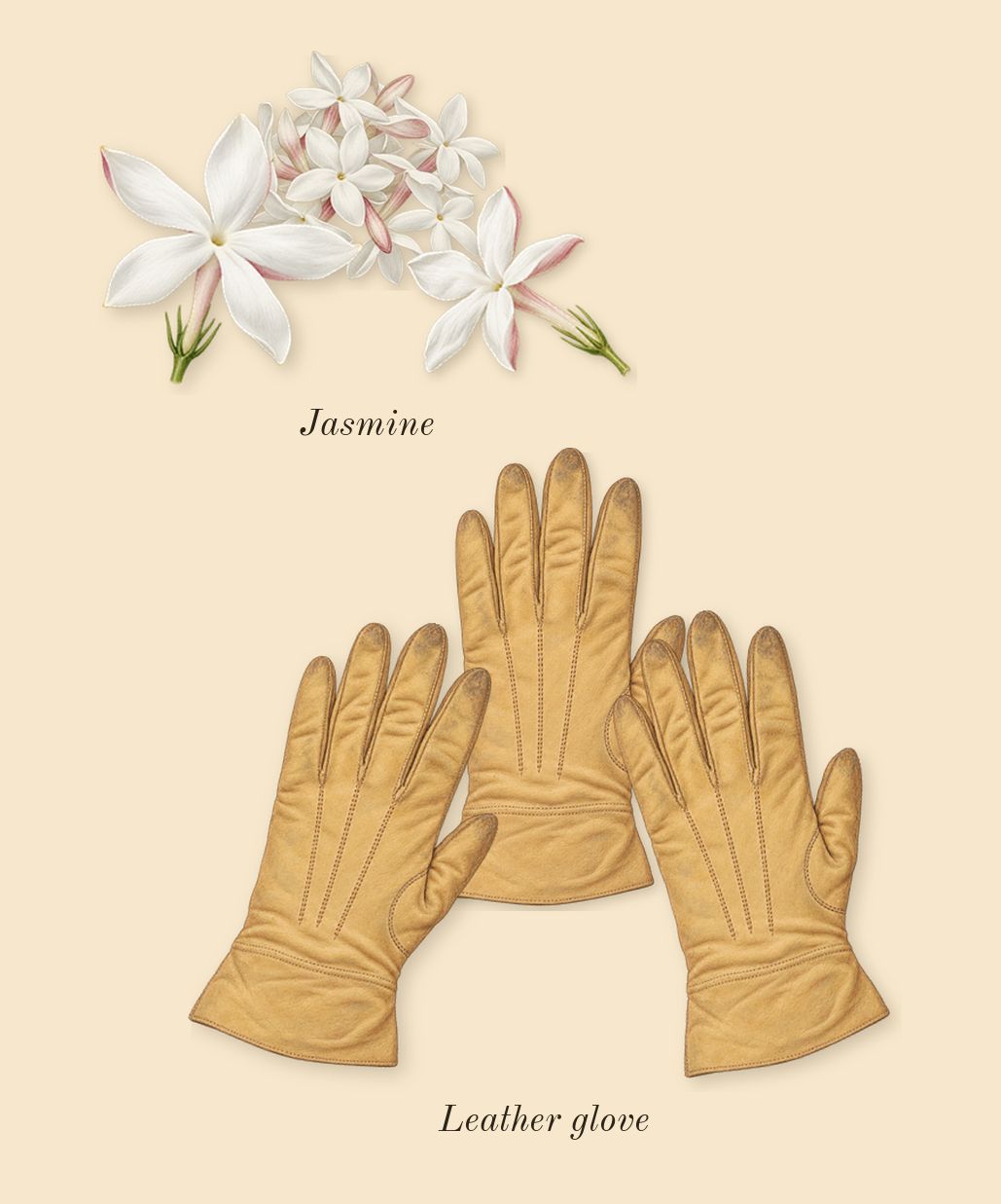 Ombré Leather, heart: Leather glove, Jasmine