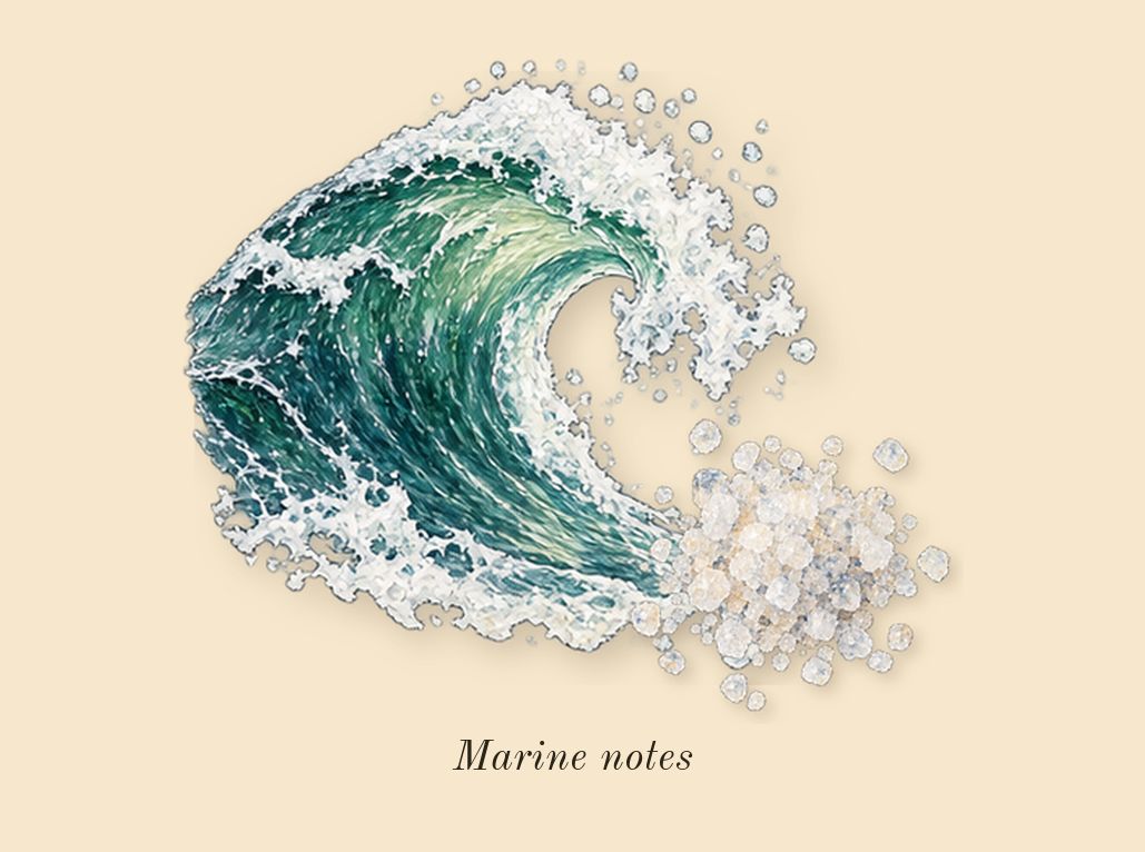 Oud Minérale, heart: Marine notes