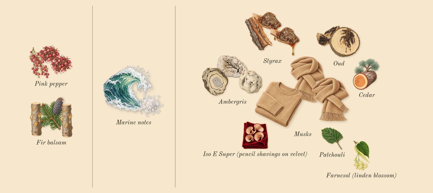 Oud Minérale’s scent picture, a draft: pink pepper, oud, styrax, ambergris, fir balsam, marine notes drawn so far; dashed outlines where nothing is drawn yet