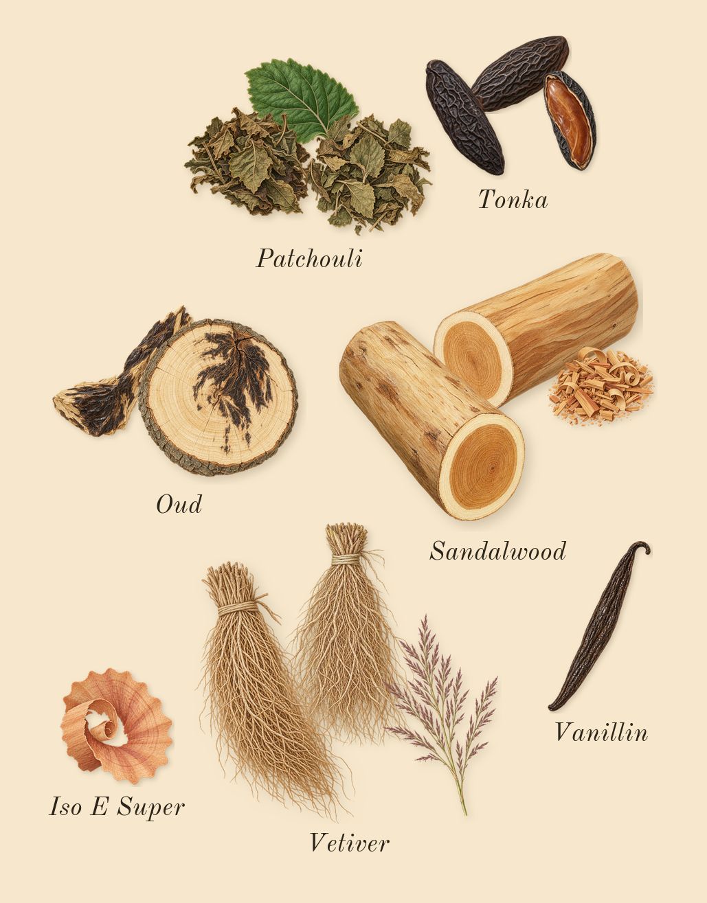 Oud Wood, dry-down: Patchouli, Oud, Tonka, Sandalwood, Vetiver, Iso E Super, Vanillin