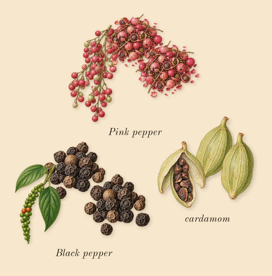 Oud Wood, top notes: cardamom, Pink pepper, Black pepper