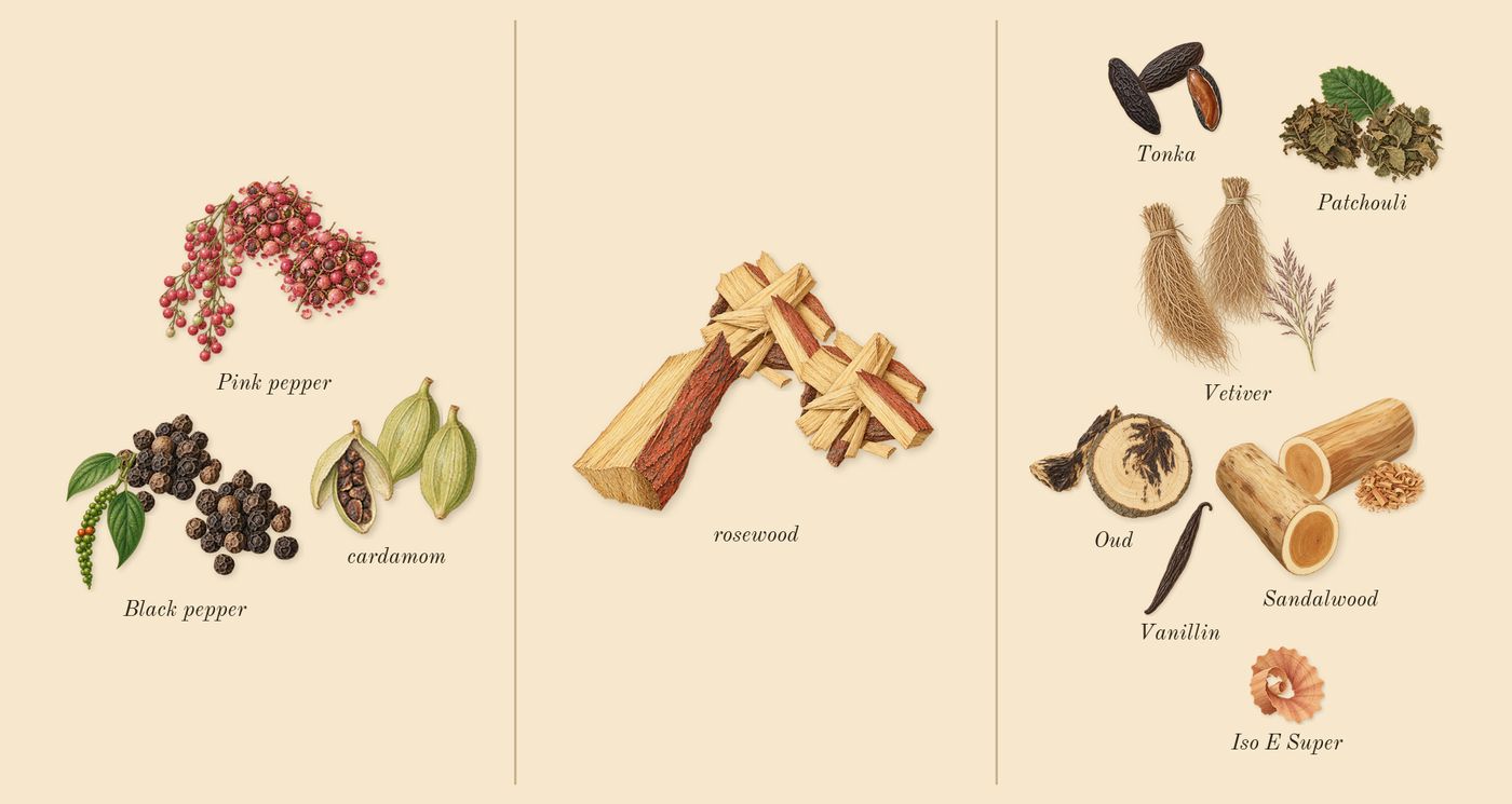 Oud Wood’s scent picture, a draft: cardamom, pink pepper, patchouli, oud, tonka, rosewood drawn so far; dashed outlines where nothing is drawn yet