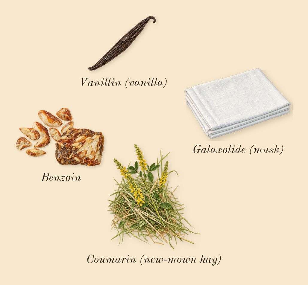 Soleil Blanc, dry-down: Benzoin, Galaxolide (musk), Coumarin (new-mown hay), Vanillin (vanilla)