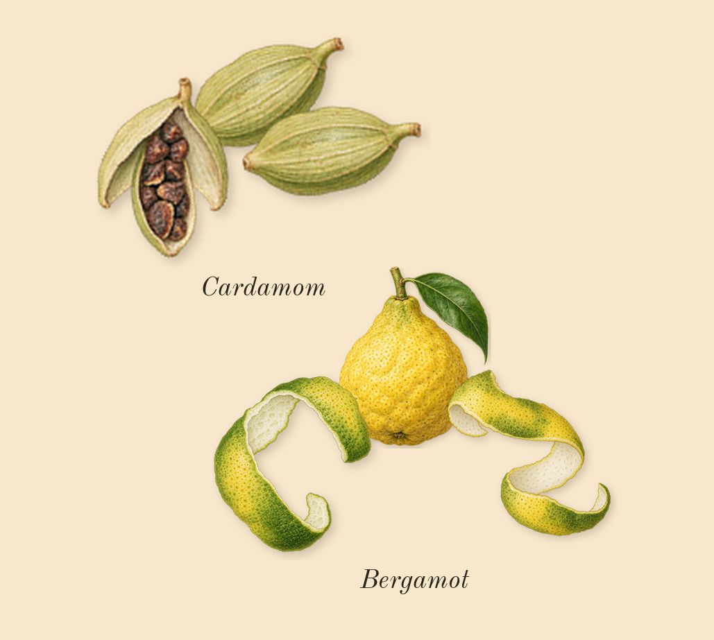 Soleil Blanc, top notes: Bergamot, Cardamom