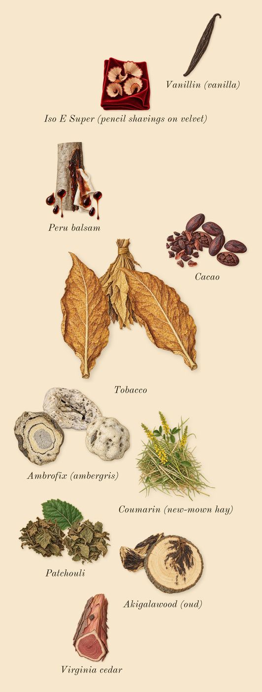 Tobacco Chocolat, dry-down: Cacao, Peru balsam, Patchouli, Ambrofix (ambergris), Tobacco, Akigalawood (oud), Virginia cedar, Iso E Super (pencil shavings on velvet), Coumarin (new-mown hay), Vanillin (vanilla)
