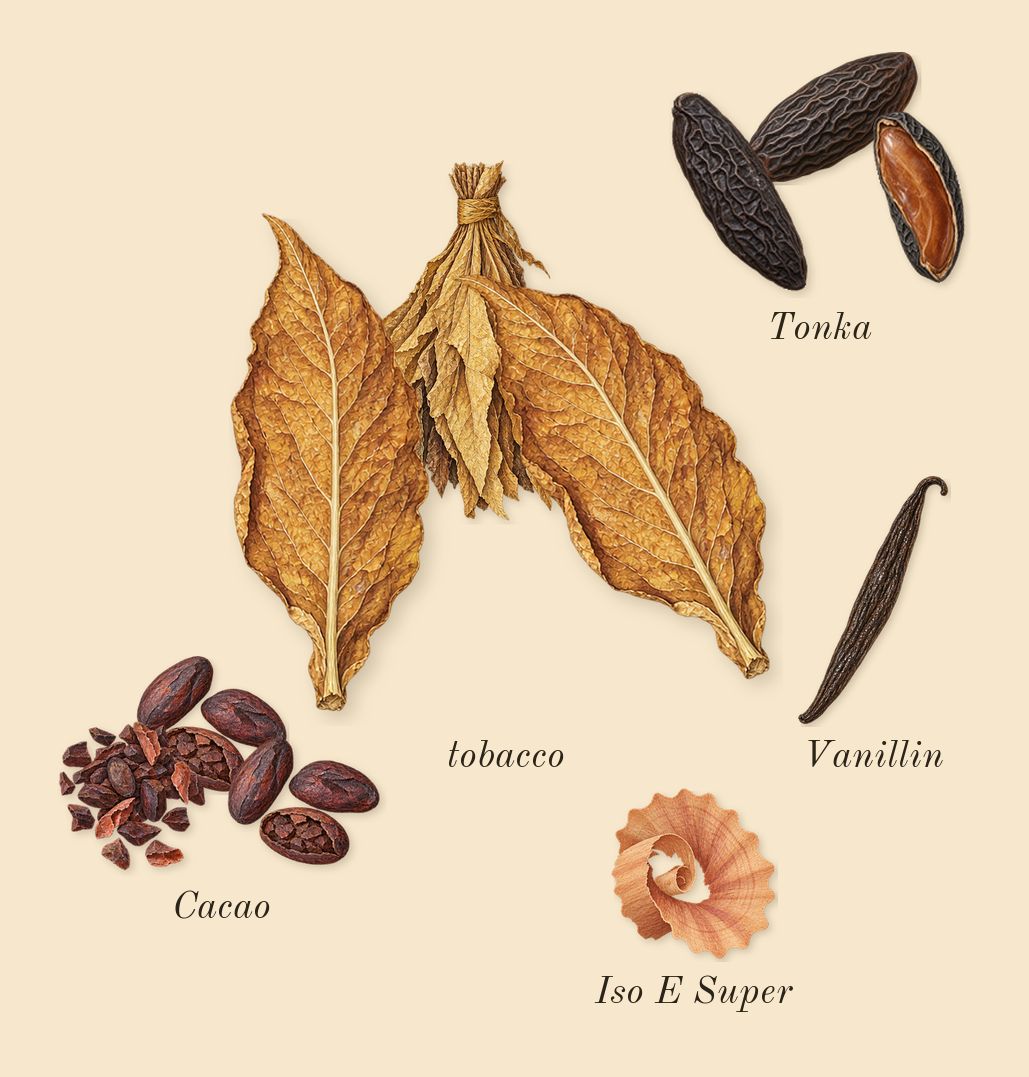 Tobacco Vanille, dry-down: tobacco, Tonka, Cacao, Iso E Super, Vanillin