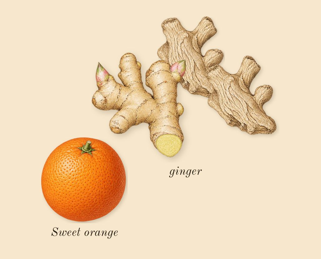 Tobacco Vanille, top notes: ginger, Sweet orange