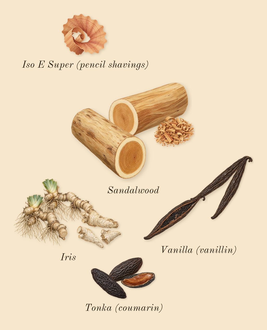 Vanilla Sex, dry-down: Vanilla (vanillin), Sandalwood, Iris, Tonka (coumarin), Iso E Super (pencil shavings)