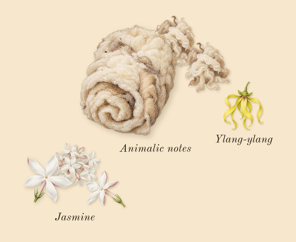 Vanilla Sex, heart: Jasmine, Animalic notes, Ylang-ylang