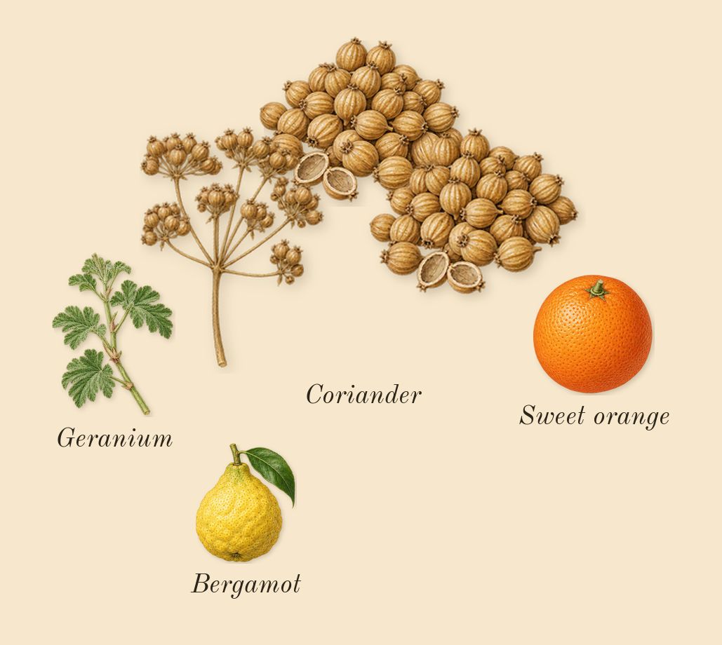 Vanille Fatale, top notes: Coriander, Geranium, Bergamot, Sweet orange