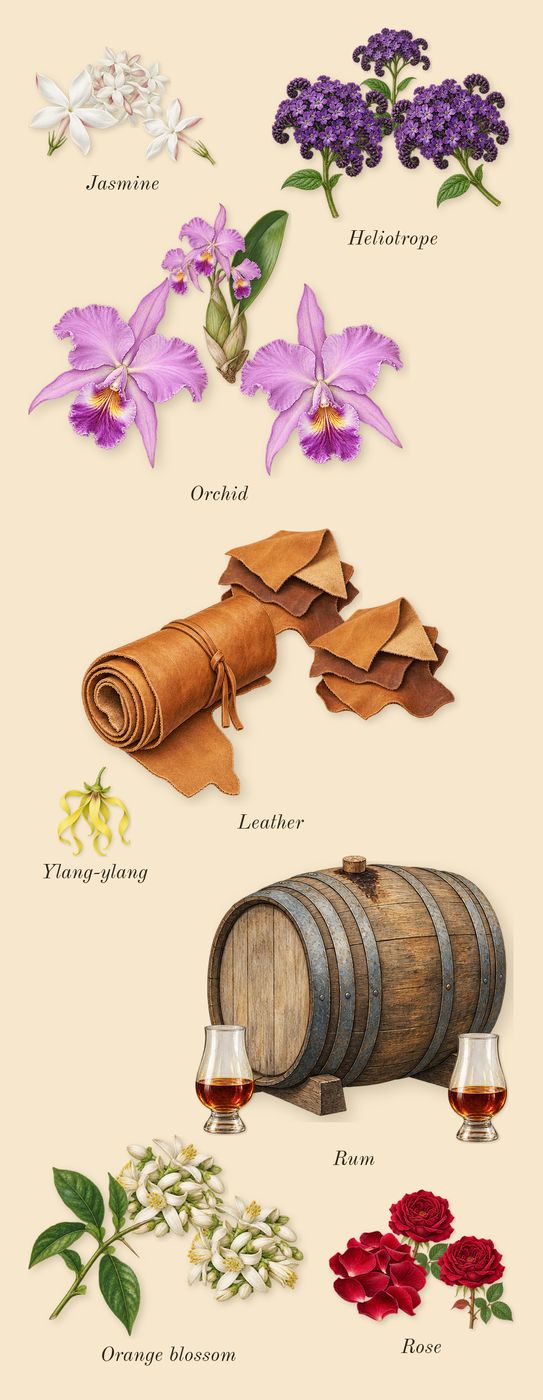 Velvet Orchid, heart: Orchid, Jasmine, Rum, Orange blossom, Rose, Heliotrope, Leather, Ylang-ylang