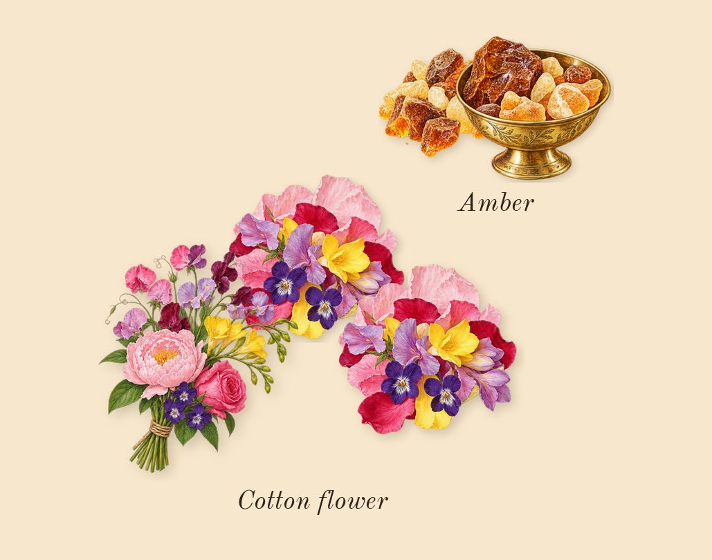 Tommy, dry-down: Amber, Cotton flower