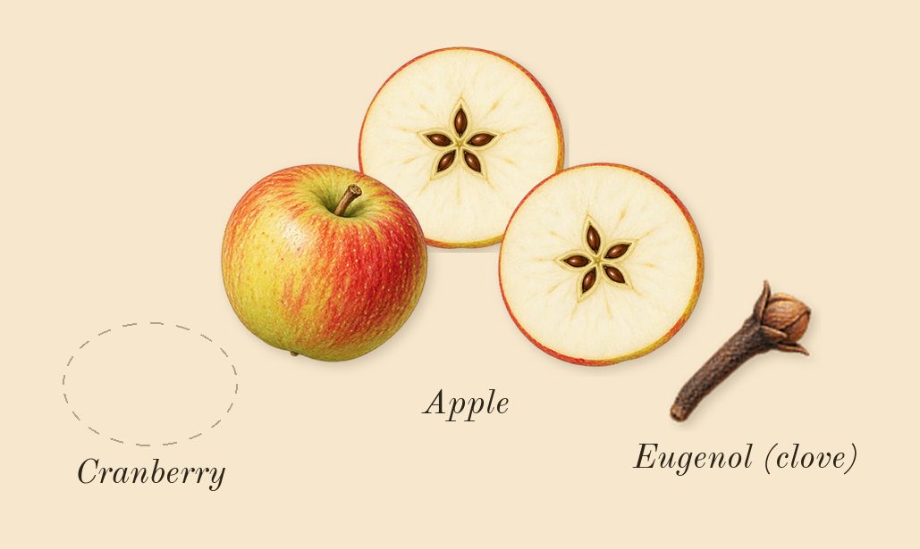 Tommy, heart: Apple, Cranberry, Eugenol (clove)