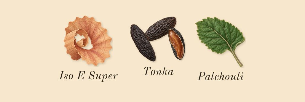 Tonka Misfah, dry-down: Tonka, Patchouli, Iso E Super