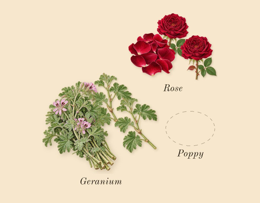 Sage's Rose, heart: Rose, Geranium, Poppy