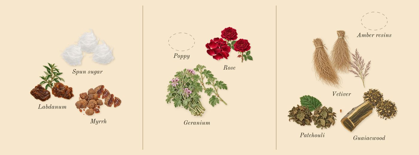 Sage's Rose’s scent picture, a draft: myrrh, labdanum, spun sugar, rose, geranium, guaiacwood drawn so far; dashed outlines where nothing is drawn yet