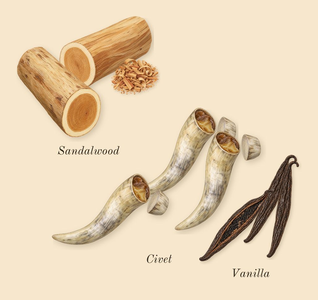 Ubar, dry-down: Sandalwood, Civet, Vanilla