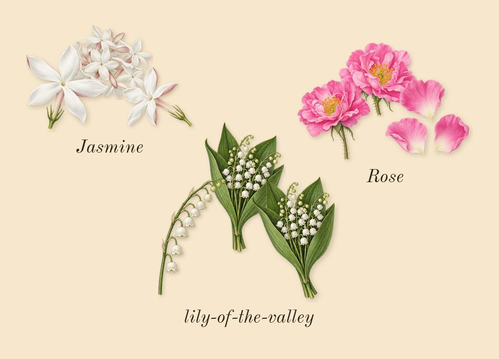 Ubar, heart: lily-of-the-valley, Rose, Jasmine