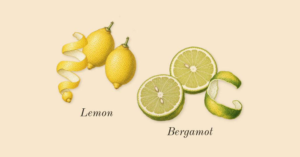 Ubar, top notes: Bergamot, Lemon