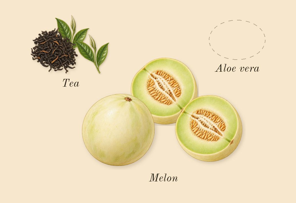 After Sun, top notes: Aloe vera, Tea, Melon