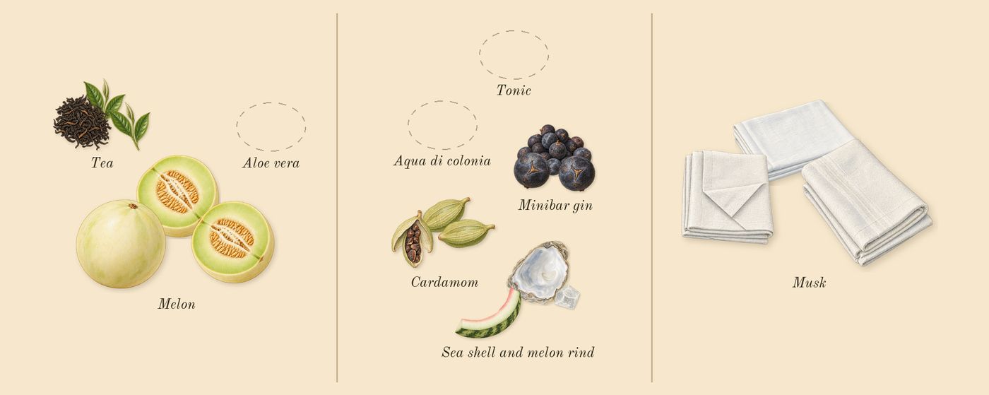 After Sun’s scent picture, a draft: tea, melon, cardamom, sea shell and melon rind, minibar gin, musk drawn so far; dashed outlines where nothing is drawn yet