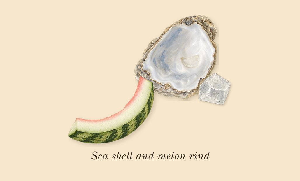 Born in Roma Uomo, heart: Sea shell and melon rind