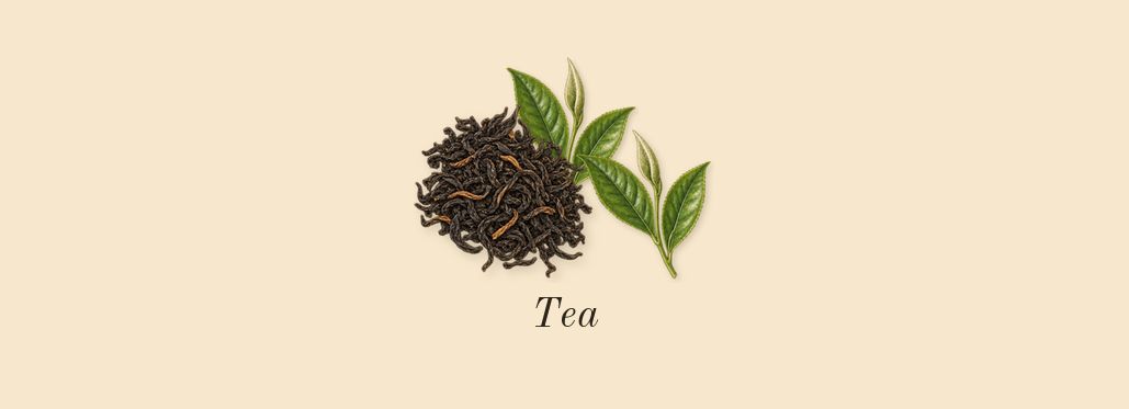Donna Born in Roma Green Stravaganza, top notes: Tea