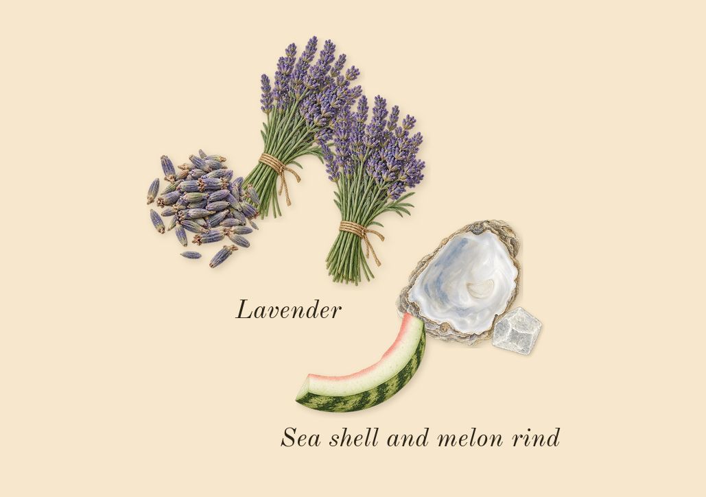 Born in Roma Uomo Extradose, heart: Lavender, Sea shell and melon rind