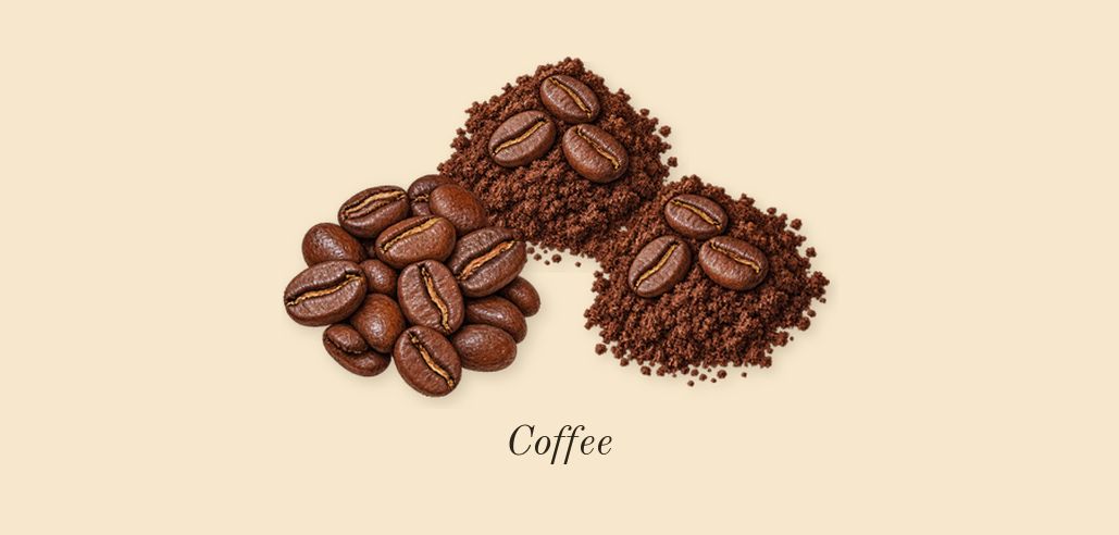Uomo Born in Roma Green Stravaganza, heart: Coffee