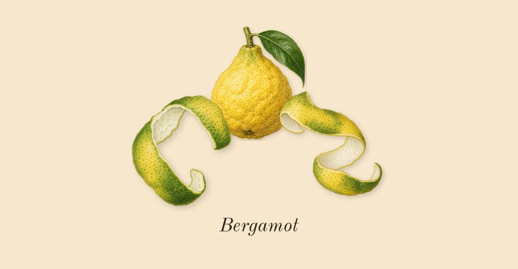 Uomo Born in Roma Green Stravaganza, top notes: Bergamot