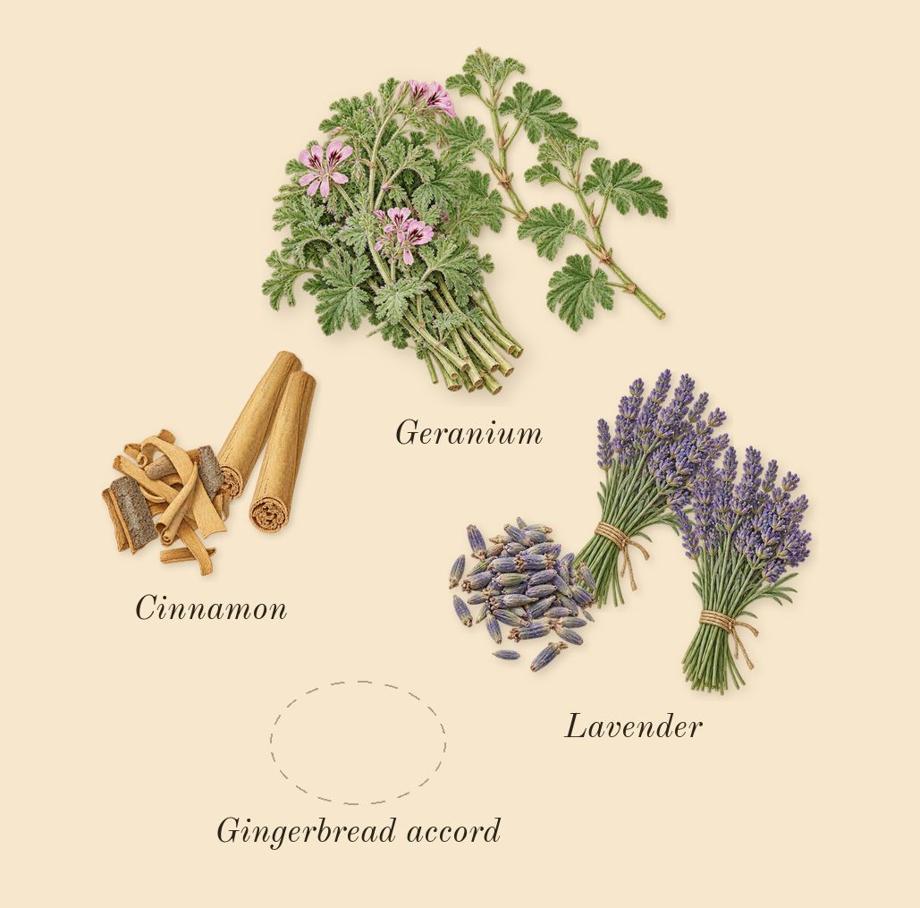 Uomo Born in Roma Yellow Dream, heart: Lavender, Geranium, Gingerbread accord, Cinnamon
