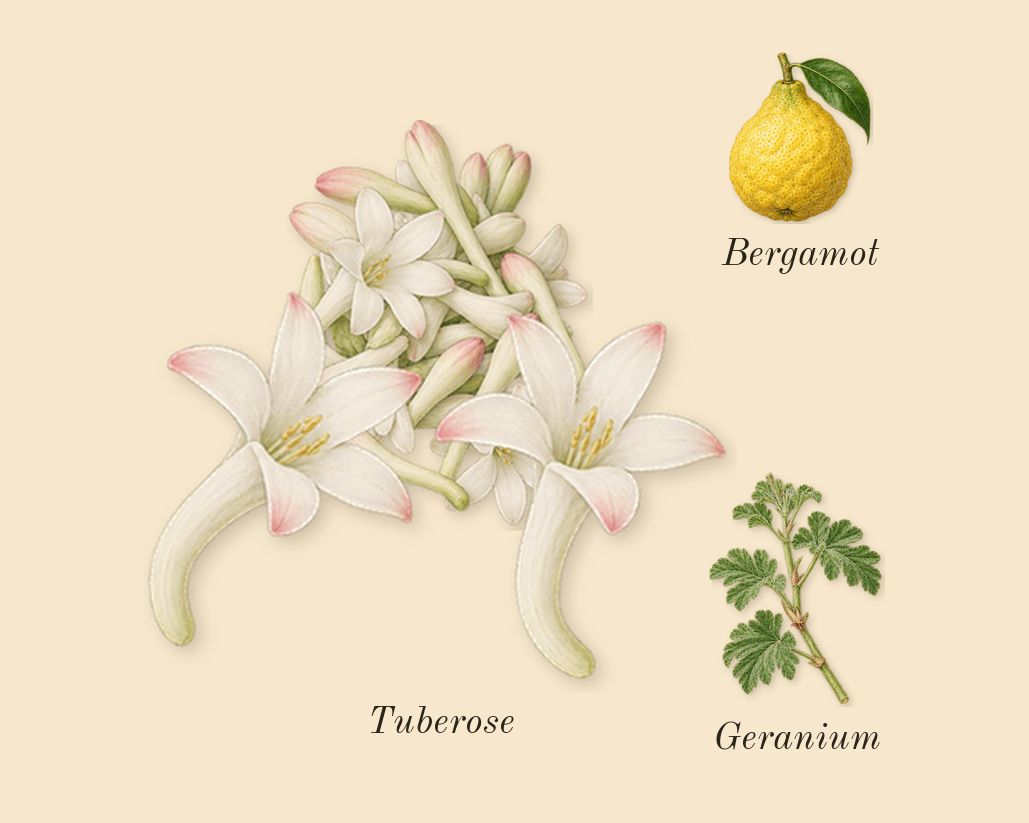 Vendetta Donna, top notes: Tuberose, Bergamot, Geranium