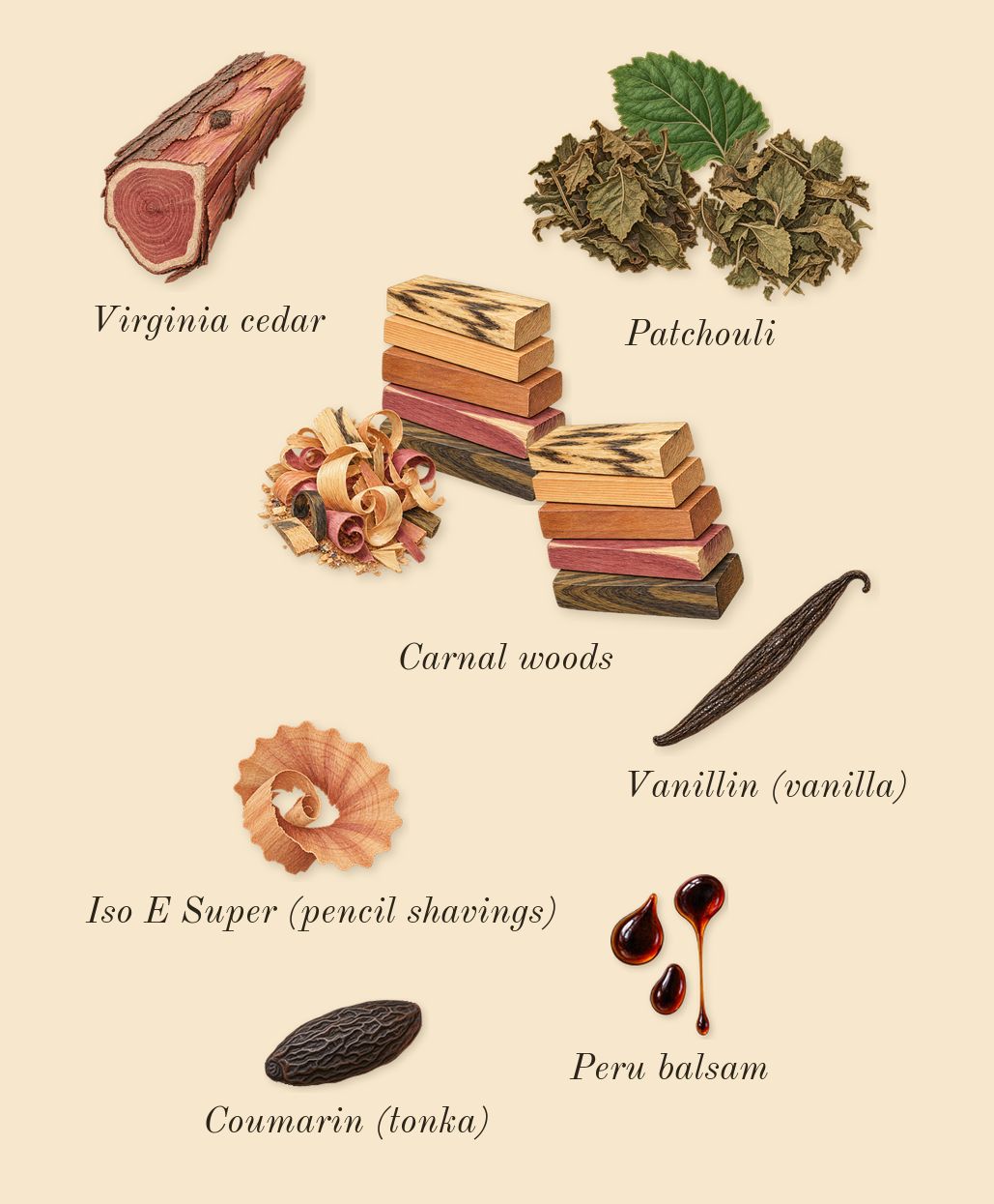Vendetta Uomo, dry-down: Patchouli, Carnal woods, Virginia cedar, Peru balsam, Iso E Super (pencil shavings), Coumarin (tonka), Vanillin (vanilla)