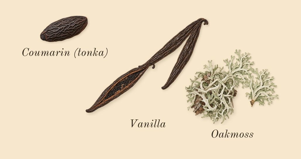 Voce Viva, dry-down: Oakmoss, Vanilla, Coumarin (tonka)
