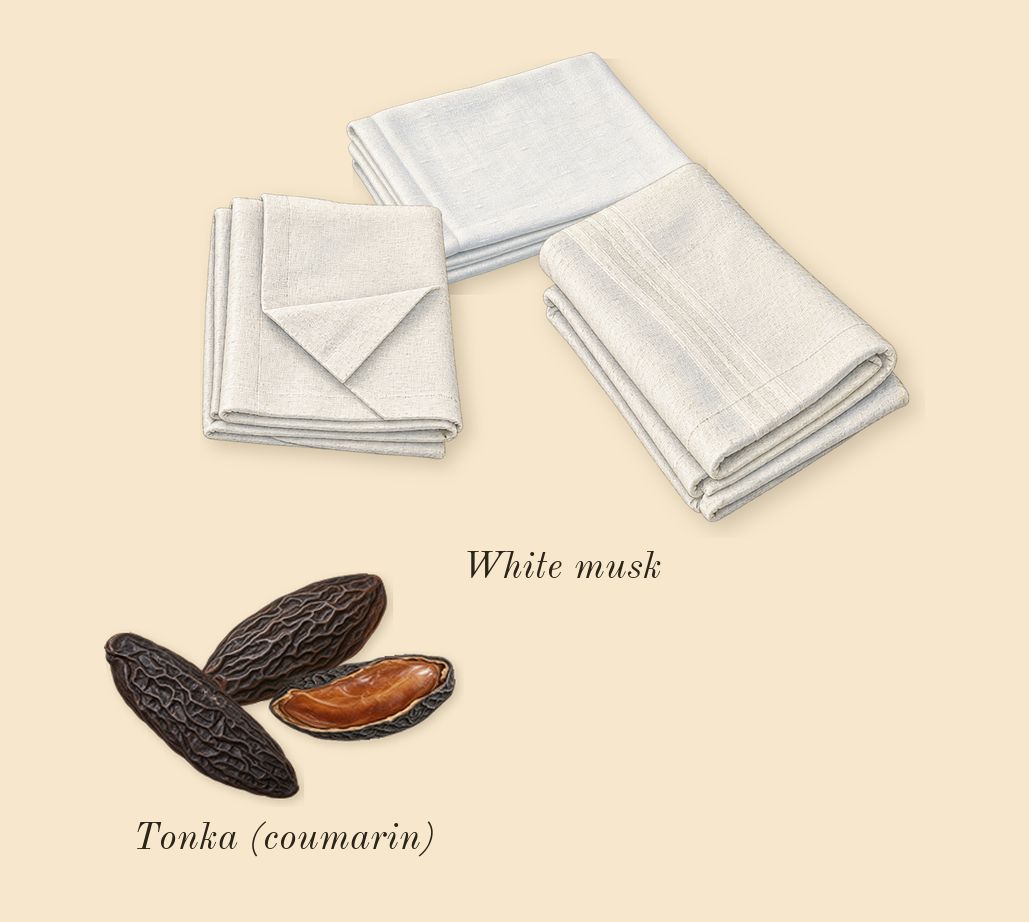 Bois Doré, dry-down: Tonka (coumarin), White musk