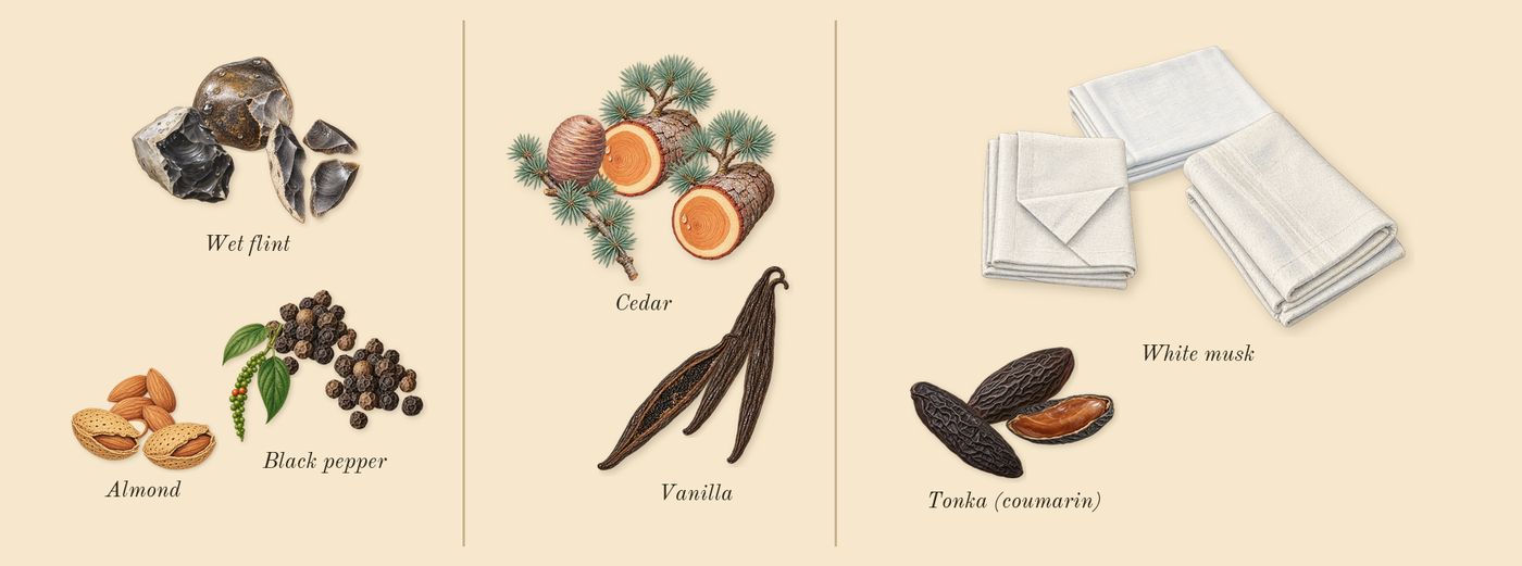 Bois Doré’s scent picture, a draft: black pepper, wet flint, cedar, vanilla, tonka (coumarin), white musk drawn so far; dashed outlines where nothing is drawn yet