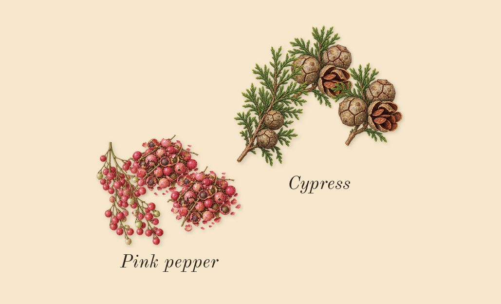 Néroli Amara, heart: Pink pepper, Cypress